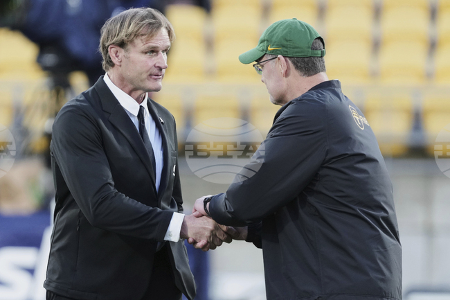 New Zealand South Africa Rugby