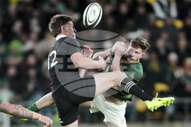 New Zealand South Africa Rugby