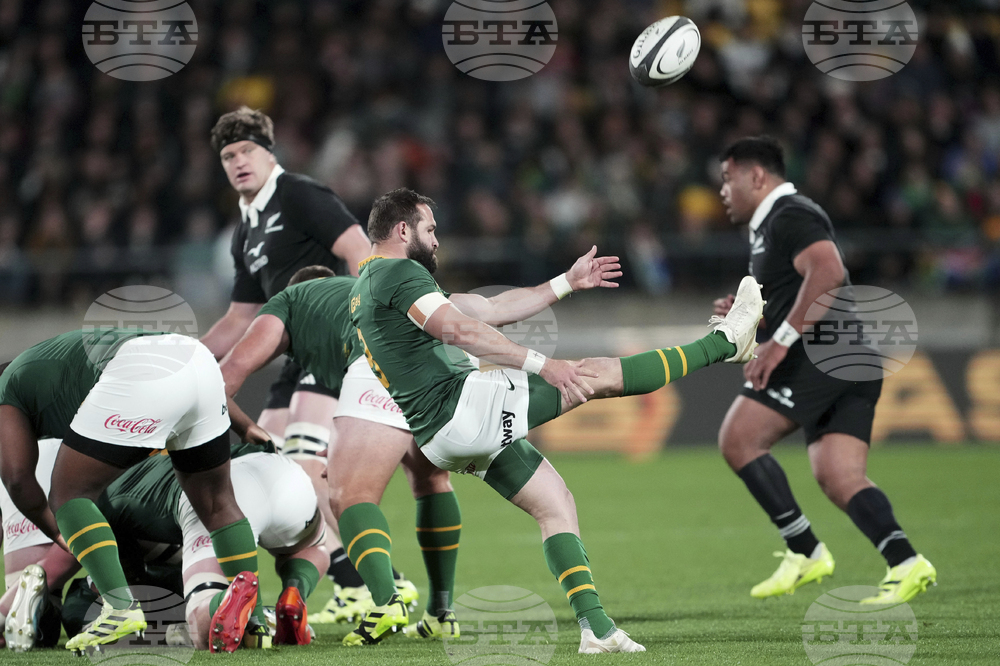 New Zealand South Africa Rugby