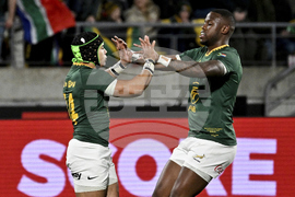 New Zealand South Africa Rugby