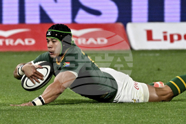 New Zealand South Africa Rugby