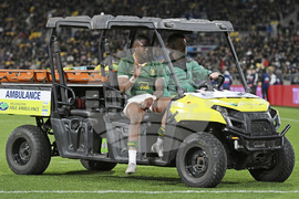 New Zealand South Africa Rugby