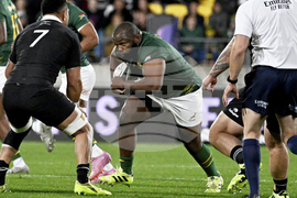 New Zealand South Africa Rugby
