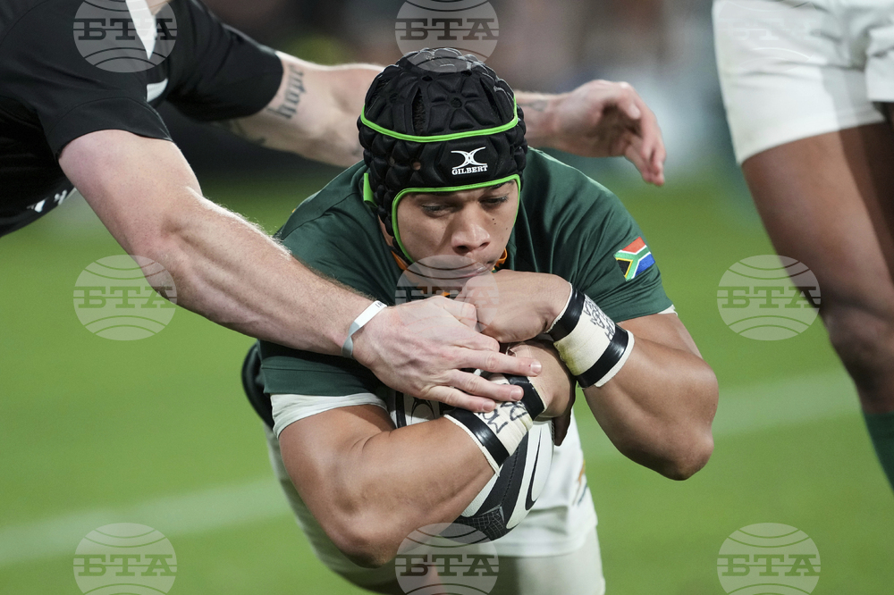 New Zealand South Africa Rugby