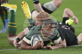 New Zealand South Africa Rugby