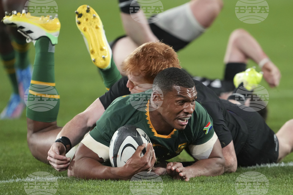 New Zealand South Africa Rugby