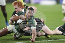New Zealand South Africa Rugby