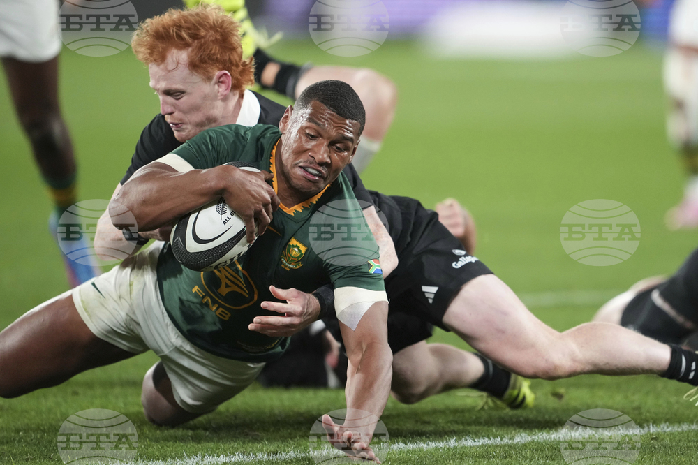 New Zealand South Africa Rugby