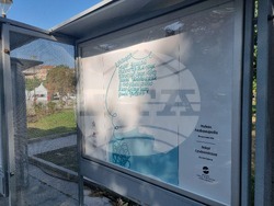 Световен ден на първата помощ - отбелязване