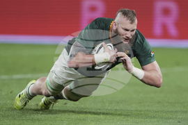 New Zealand South Africa Rugby