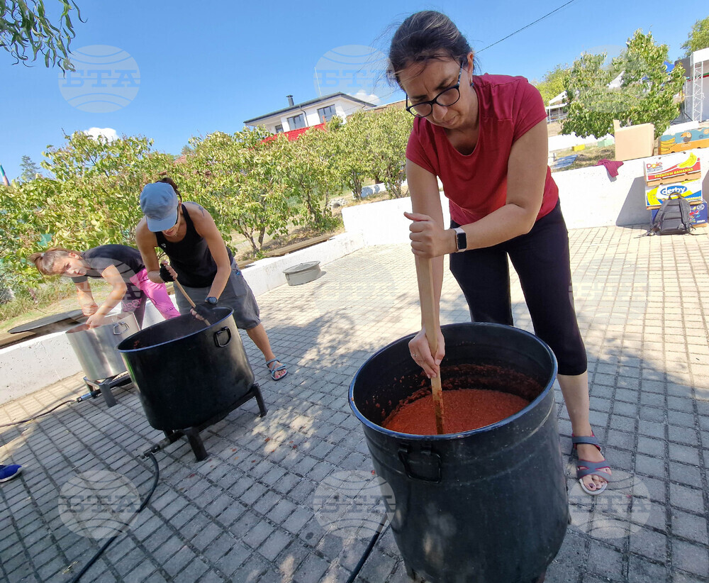 Село Пожарево - фестивал „Лютеницотерапия“