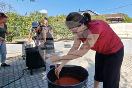 Село Пожарево - фестивал „Лютеницотерапия“