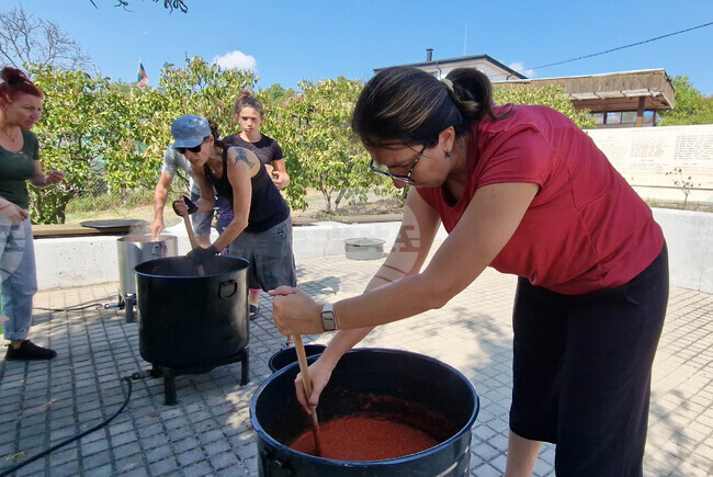 Село Пожарево - фестивал „Лютеницотерапия“