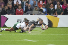 RWC New Zealand South Africa Rugby