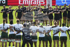 RWC New Zealand South Africa Rugby