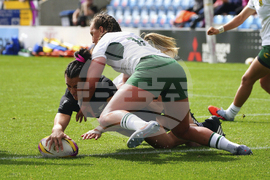 RWC New Zealand South Africa Rugby