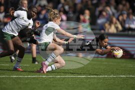 RWC New Zealand South Africa Rugby