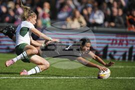 RWC New Zealand South Africa Rugby