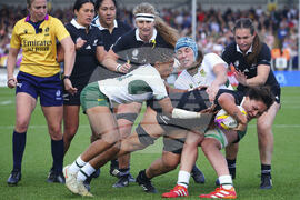 RWC New Zealand South Africa Rugby