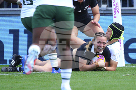 RWC New Zealand South Africa Rugby