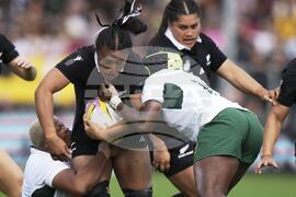 RWC New Zealand South Africa Rugby