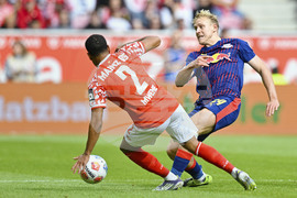 Germany Soccer Bundesliga