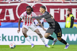 Germany Soccer Bundesliga