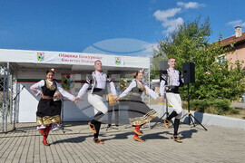Село Пожарево - фестивал „Лютеницотерапия“ - събор