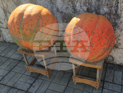 Шабла - Празник на плодородието