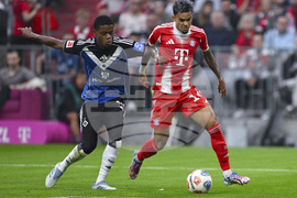 Germany Soccer Bundesliga