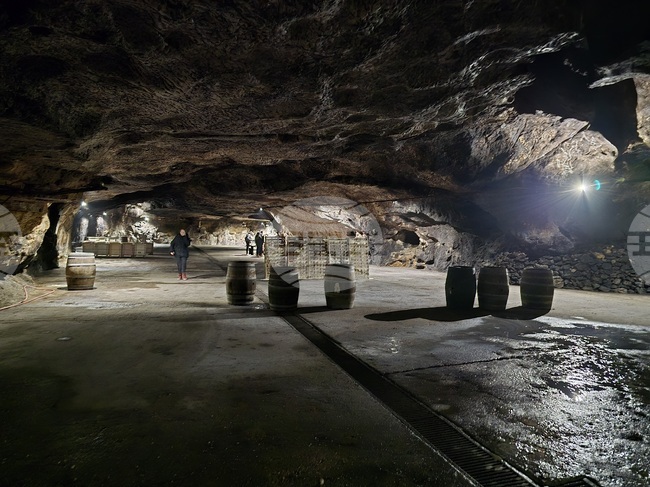 Лидери от туристическата индустрия на Балканите ще бъдат отличени на Balkan Awards of Tourism Industry 2025 през декември в София