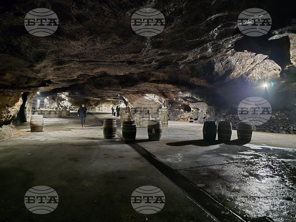 Село Рабиша - винарска изба „Магура“ - пещерата Магура - естествено пенливо вино - винен туризъм