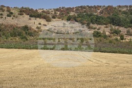 Село Рабиша - винарска изба „Магура“ - пещерата Магура - естествено пенливо вино - винен туризъм