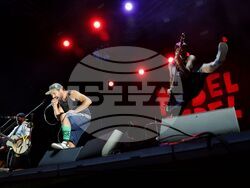 Музика - "Rebel Rebel" - фестивал - група No More Many More