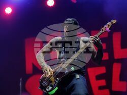 Музика - "Rebel Rebel" - фестивал - група No More Many More