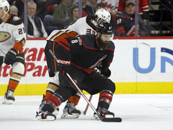 Ducks Hurricanes Hockey