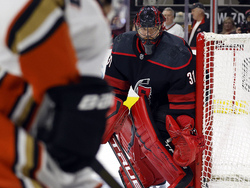 Ducks Hurricanes Hockey