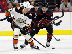 Ducks Hurricanes Hockey