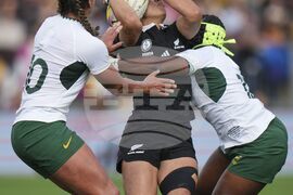 RWC New Zealand South Africa Rugby