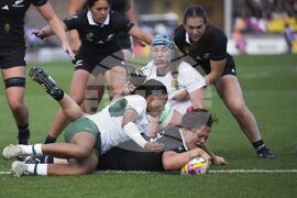 RWC New Zealand South Africa Rugby