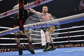 Alvarez Crawford Boxing