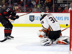 Ducks Hurricanes Hockey