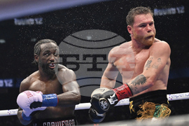 Alvarez Crawford Boxing