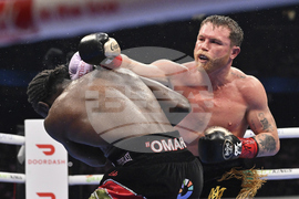 Alvarez Crawford Boxing