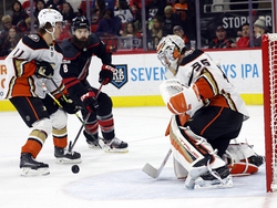 Ducks Hurricanes Hockey