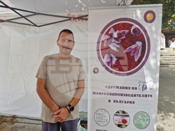 Стара Загора - U.L.I.C.A. - Street Fest - шафран