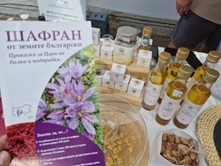 Стара Загора - U.L.I.C.A. - Street Fest - шафран