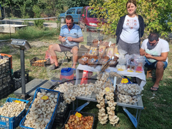 Село Пробуда - празник на чесъна - базар