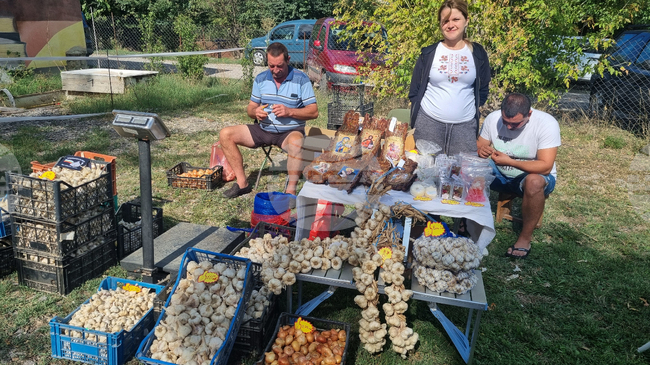 В ход е подготовката за Деветия празник на чесъна в търговищкото село Пробуда