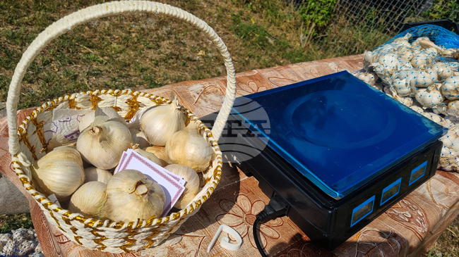 Рекорден скок при карфиола и поевтиняване на чесъна отчита САПИ в седмичния си анализ за цените на дребно у нас